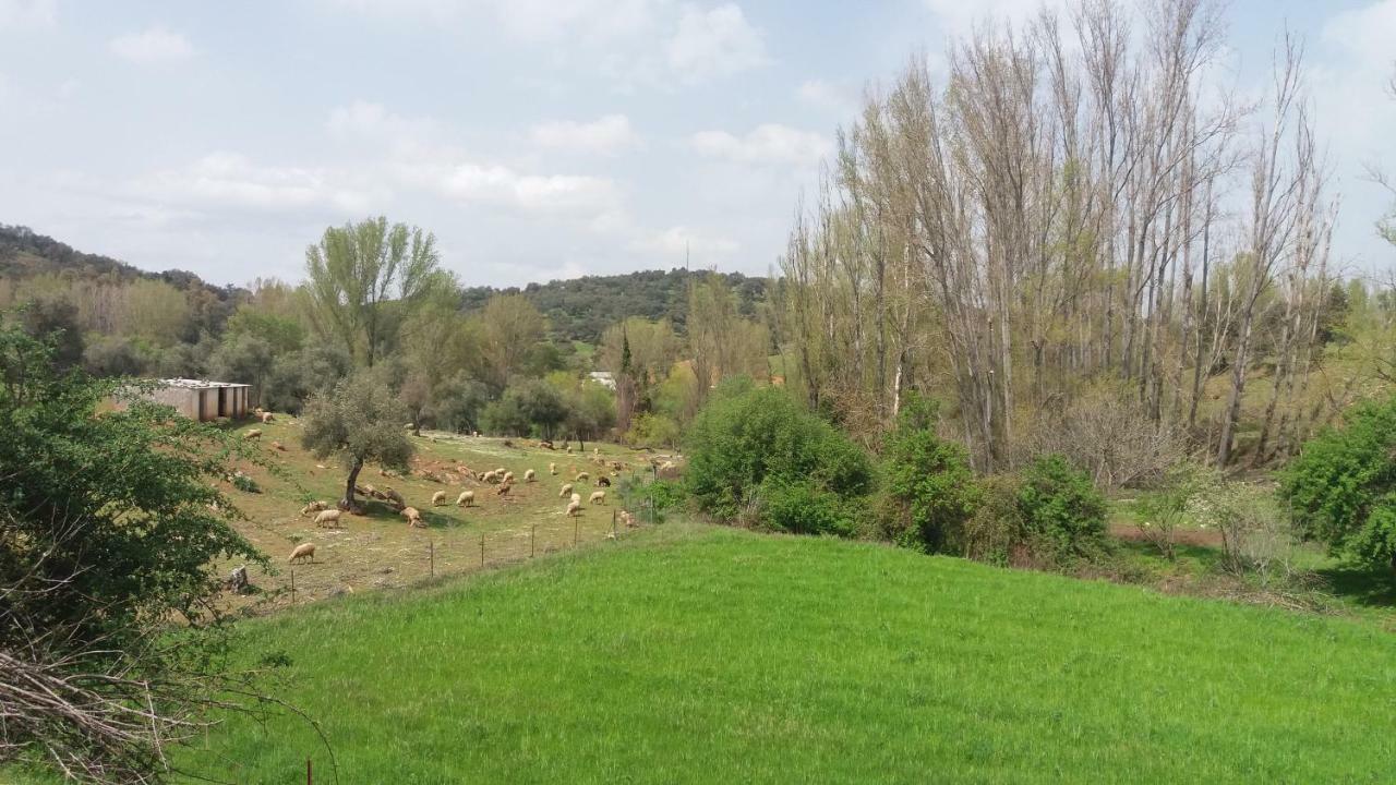 Casa Rural El Jardin Del Hueznar San Nicolas del Puerto Exterior photo